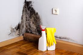 Best Forensic Mold Investigation  in Arlington, NY